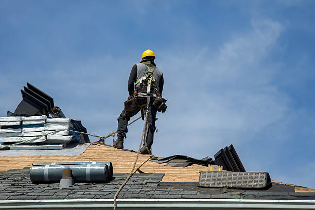 Professional Roofing technician working in Maitland, MO